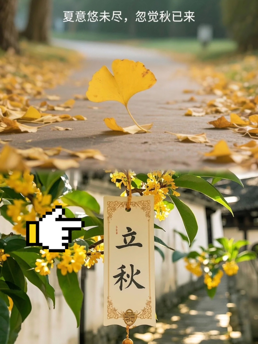 娱乐生活 第81页