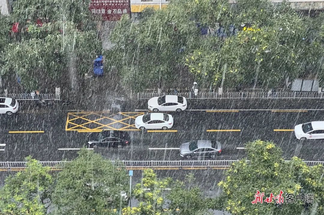娱乐生活 第71页