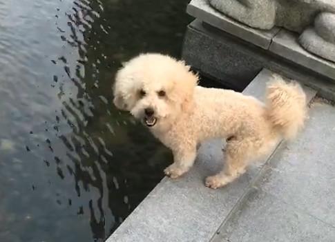 港澳新闻 第63页