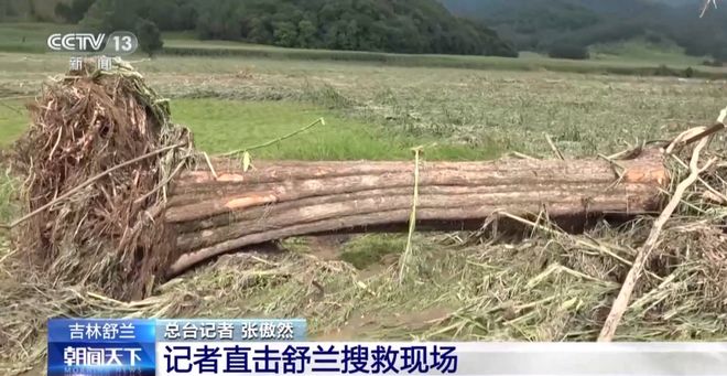 最新资讯 第14页